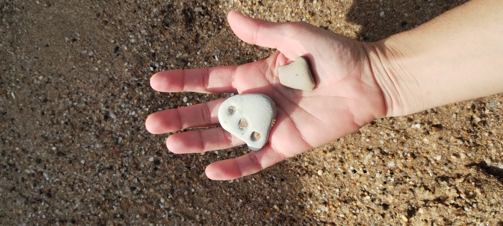 Galets ramassés sur la plage dans la main
